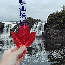 军旅(旅)言(言)情小(小)说