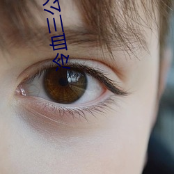 冷血三公主的复仇计划