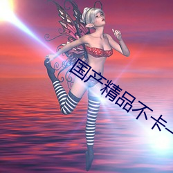國産精品不卡一區