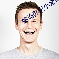 偷偷养只小金乌