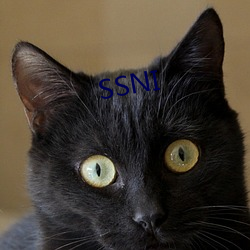 SSNI Ц