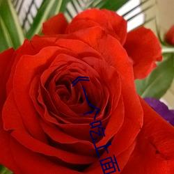 《一个吃(吃)上面一个人吃(吃)下》电影(影)手机在线(線)观(觀)看