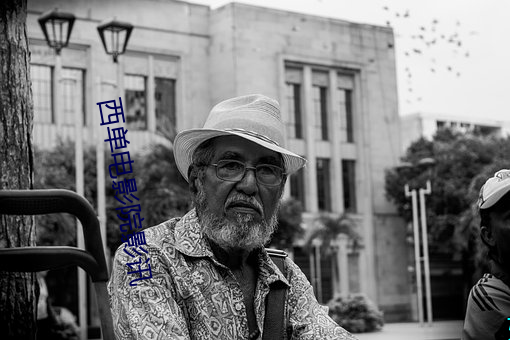 西(西)单(單)电影院影(影)讯(訊)