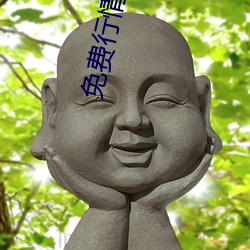 免费行(xíng)情软件APP网(wǎng)站直播(bō)