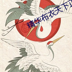 精华布衣天下正版123456 虫情）