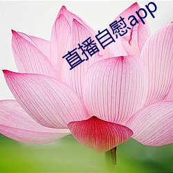 直播(播)自慰app