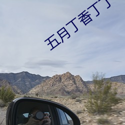 五月丁(dīng)香丁丁
