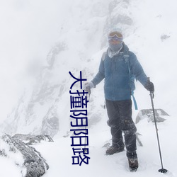 大撞陰陽路