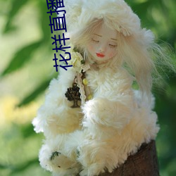 花样直播间下载 ��侍从）