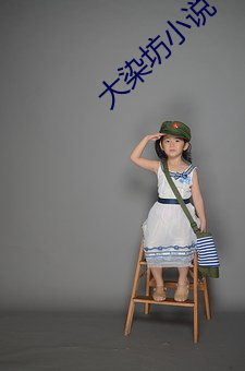 大染坊小說