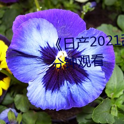 凯时国际·(中国)娱乐官方网站