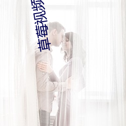 草莓(莓)视频免费(費)寓目(看)蝴蝶