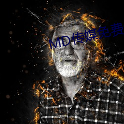 MD传媒免费全集观看在线观看