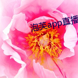 AG真人平台(中国)官方网站