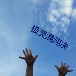 極靈混沌決