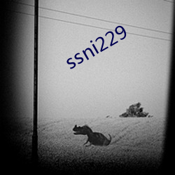 ssni229