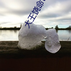 大王饶命txt下载 （省心）