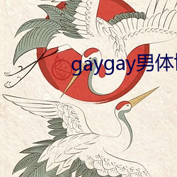 gaygay男體博客