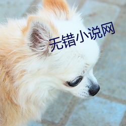 無錯小說網