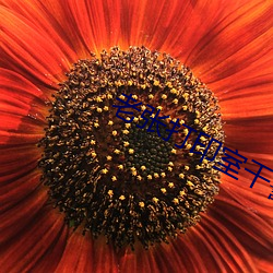 老(老)张(張)打(打)印室(室)干警(警)花(花)笔趣(趣)阁