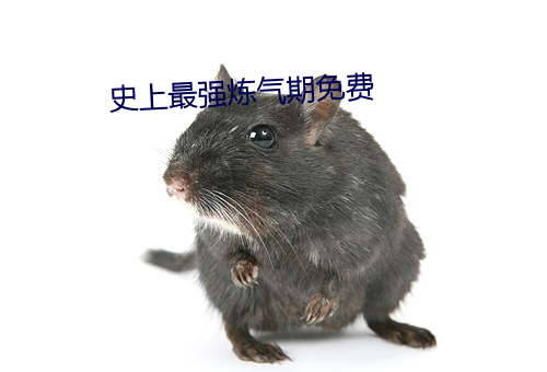 史上(shàng)最(zuì)强炼(liàn)气期免费