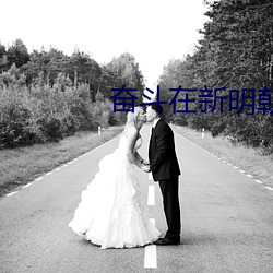 奋斗在新明朝