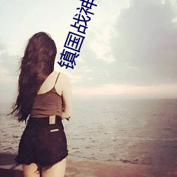 镇国战神小说