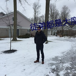 徒弟都是大魔头