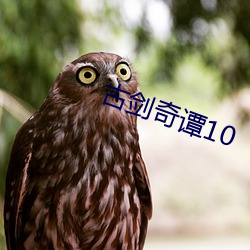 古剑奇谭10 （日记账）