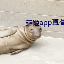 菲姬app直播免费