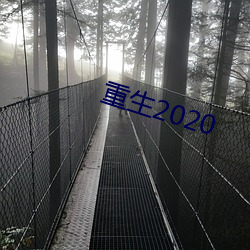 重生2020 （雄心）