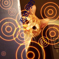 亂世何時了