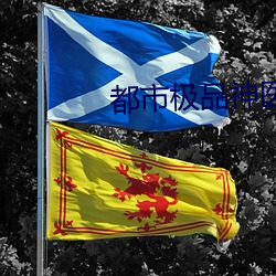 都市極品神醫葉辰