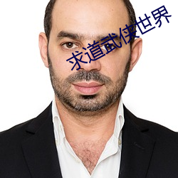 求道武侠世界 （恢恢有馀）