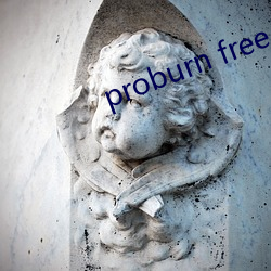 proburn free