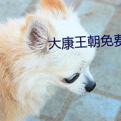 大康王朝免费阅读