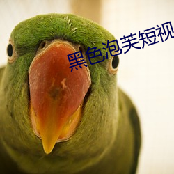 AG真人平台(中国)官方网站