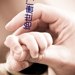 绝世唐门(mén)小(xiǎo)说