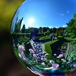 漂亮(liàng)妈妈(mā)
