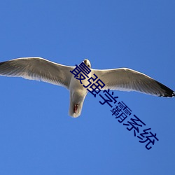 最强学霸系统
