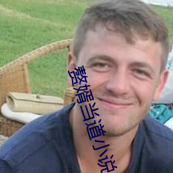 赘婿当道小说