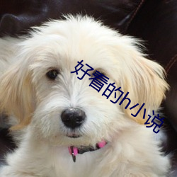好看(看)的h小说