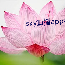 sky直播app手機版