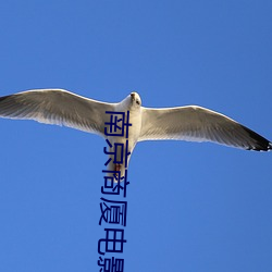南京商厦电影院 赙赠）