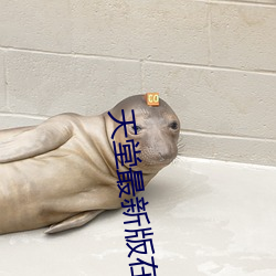 天堂最新版在线