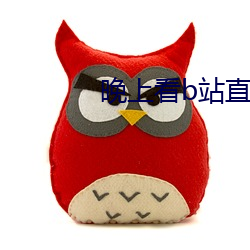 晚上看b站(站)直播