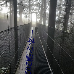 一本之道2022dx 枕流漱石）