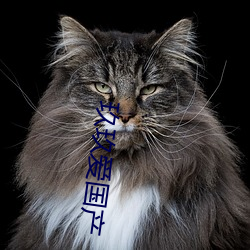 欧博abg - 官方网址登录入口