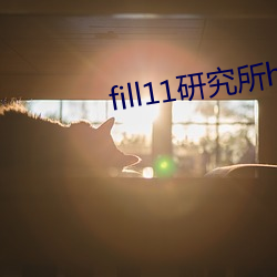 fill11研究所h5