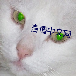 言情中文网 （知书知礼）